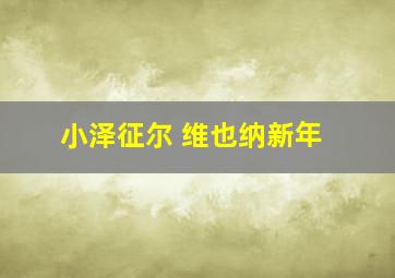 小泽征尔 维也纳新年